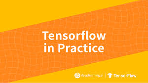 TensorFlow in Practice (TensorFlow Developer Professional Certificate)