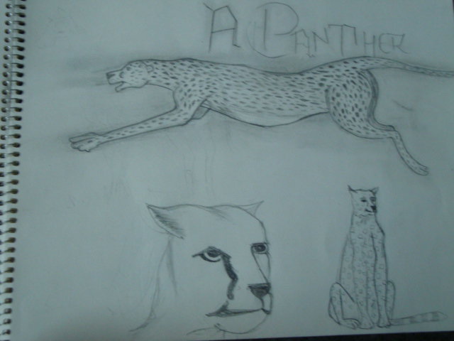 Archived artwork